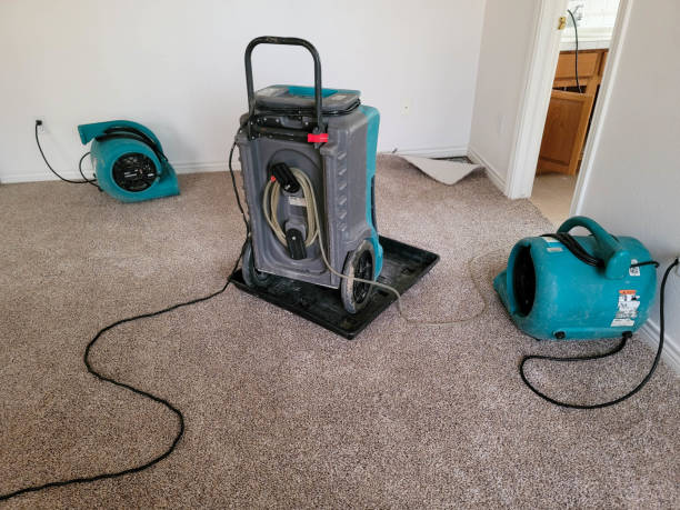 Best 24/7 water damage repair  in Milan, IN