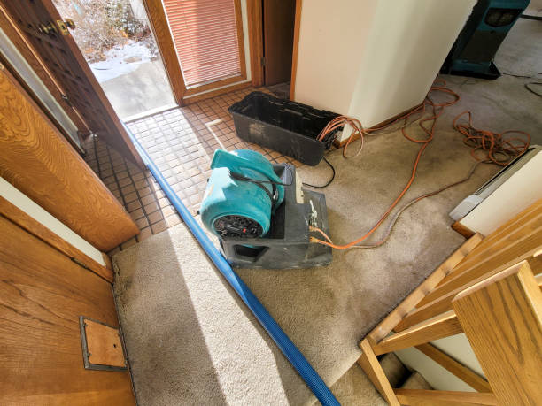 Best Professional water damage repair  in Milan, IN