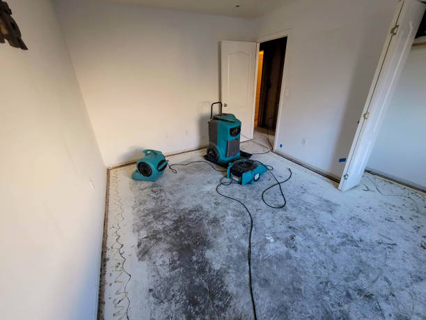  Milan, IN Water damage restoration Pros