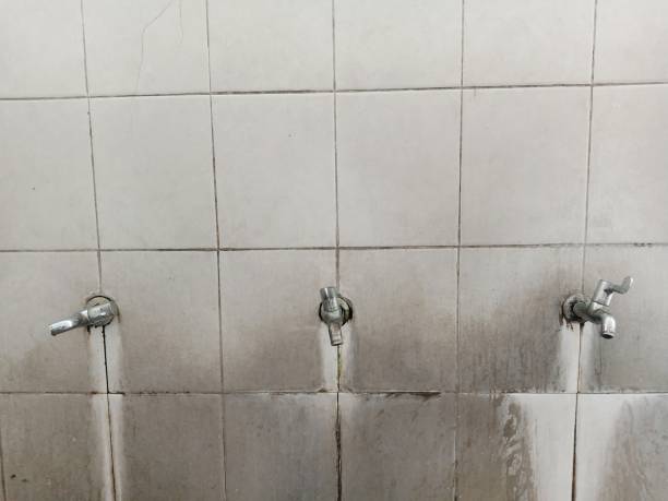 Best Residential water damage restoration  in Milan, IN