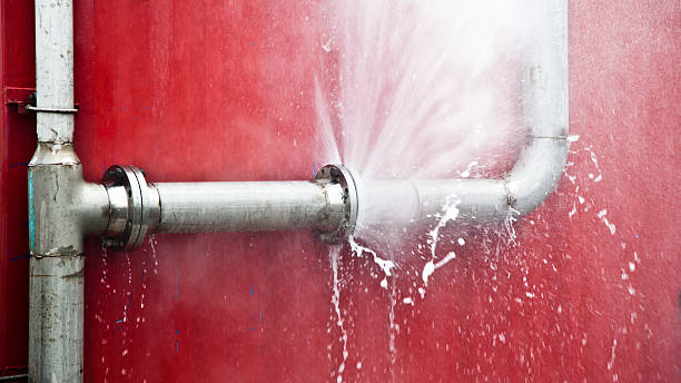 Best Basement water damage restoration  in Milan, IN